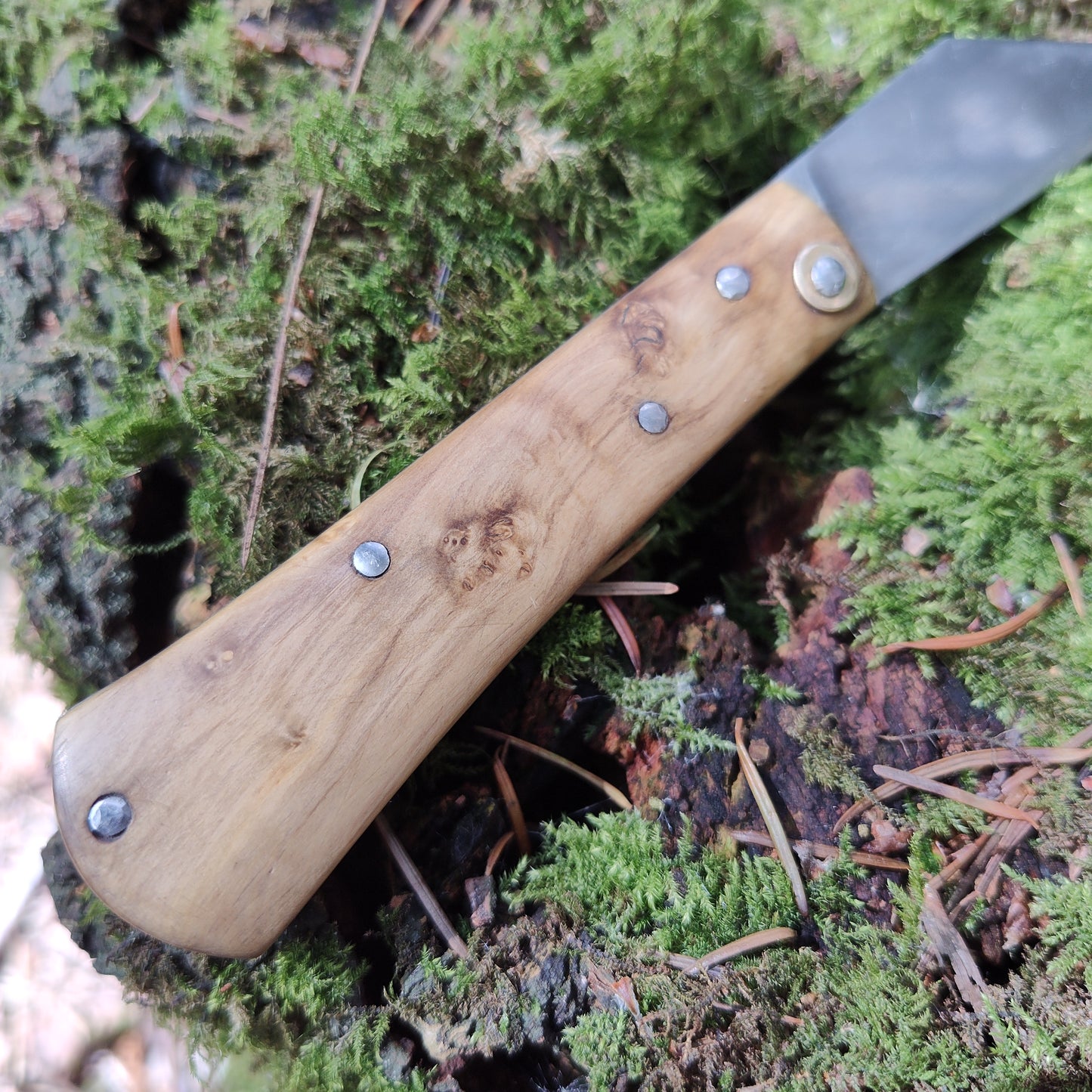 Hand-forged slipjoint folding knife / Boxwood burl handle / Non-locking UK Legal Carry