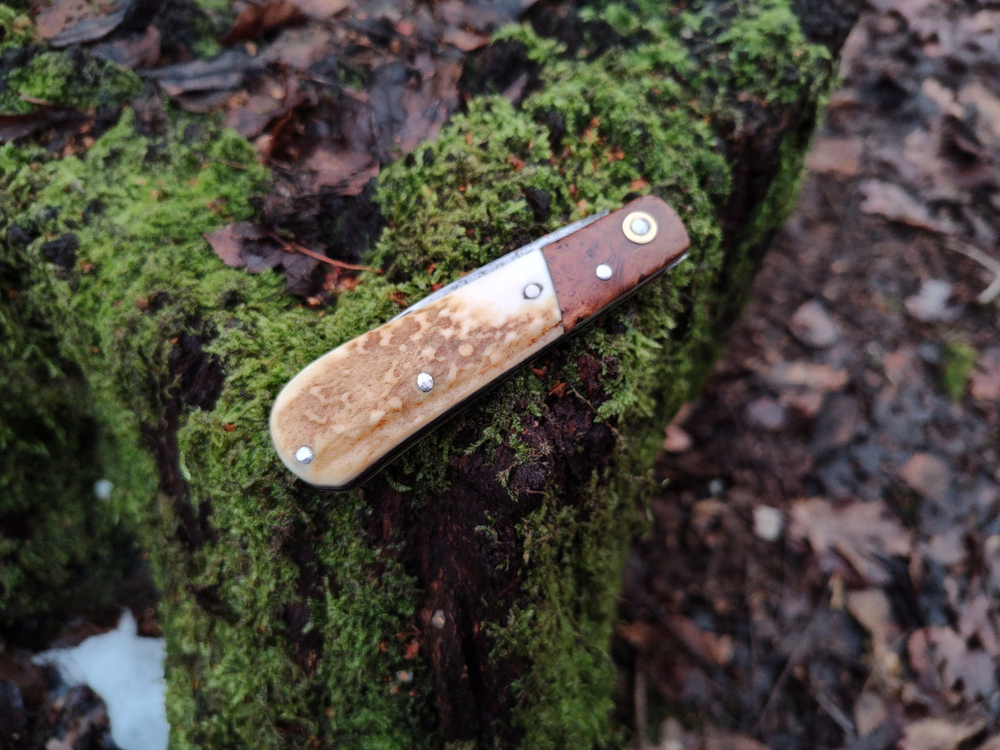 Hand-forged Wharncliffe Slipjoint / UK Legal Folding Knife / Carbon Steel Blade with Ash Burl & Stag Handle