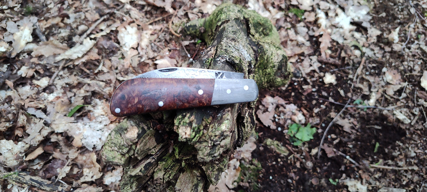 Hand-forged Wharncliffe Slipjoint / Pattern Welded Damascus Blade / Wrought Iron Bolsters and Beech Burl Scales / UK Legal Carry