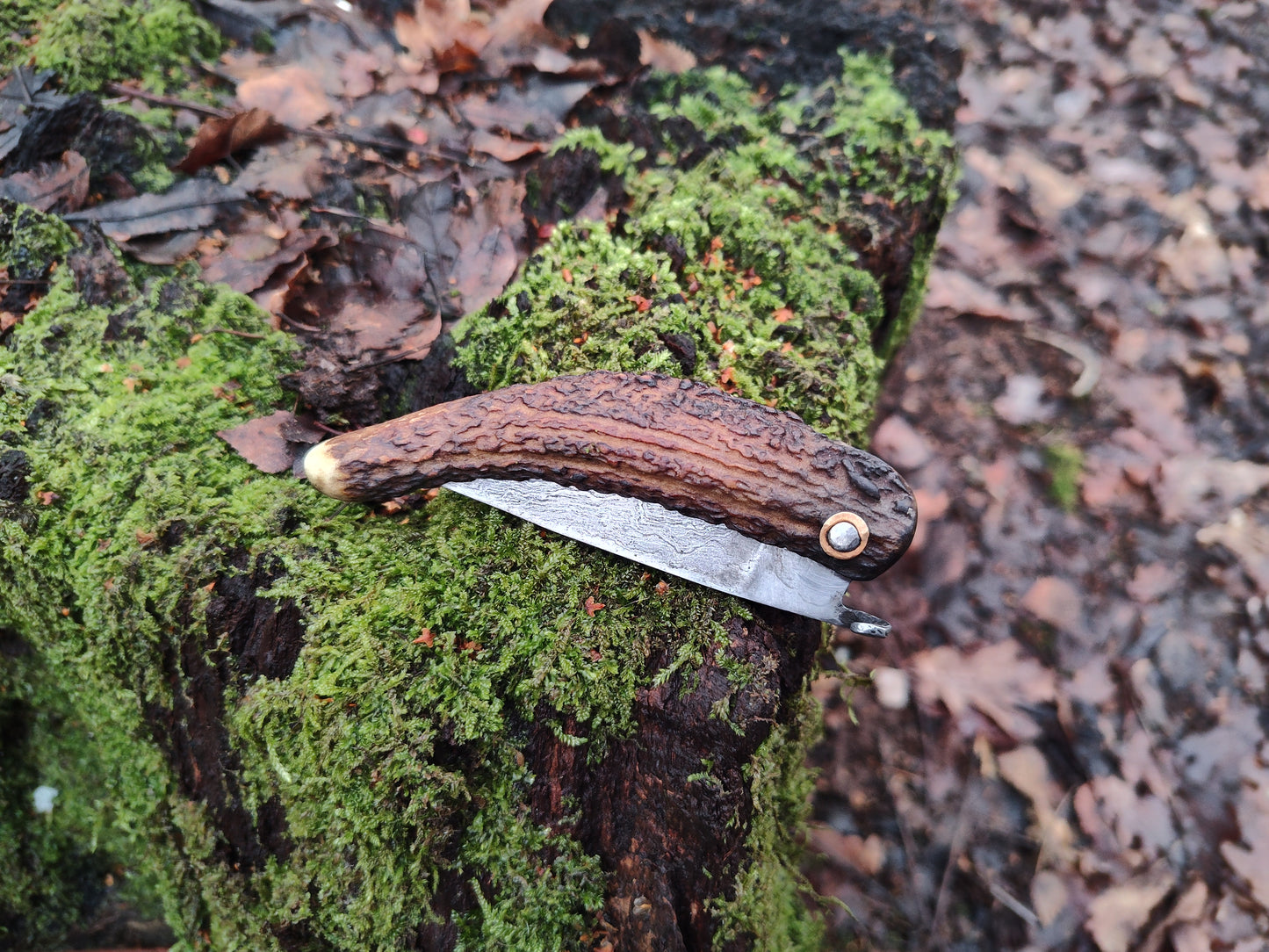 Primitive Mountain Man Friction Folder / Wrought Iron San Mai Blade / Stag handle / UK Legal Carry