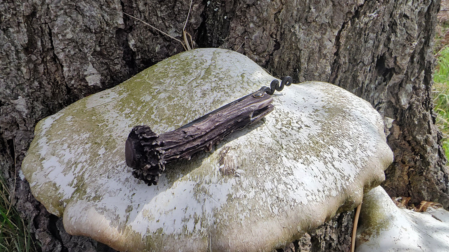 Hand-forged Viking friction folder / Scottish Roe Deer Antler Handle / 52100 Carbon Steel / UK Legal Pocket Knife