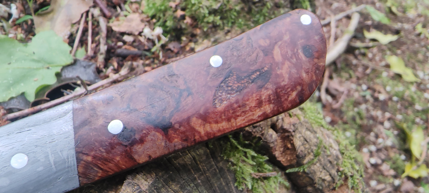 Hand-forged Wharncliffe Slipjoint / Pattern Welded Damascus Blade / Wrought Iron Bolsters and Beech Burl Scales / UK Legal Carry
